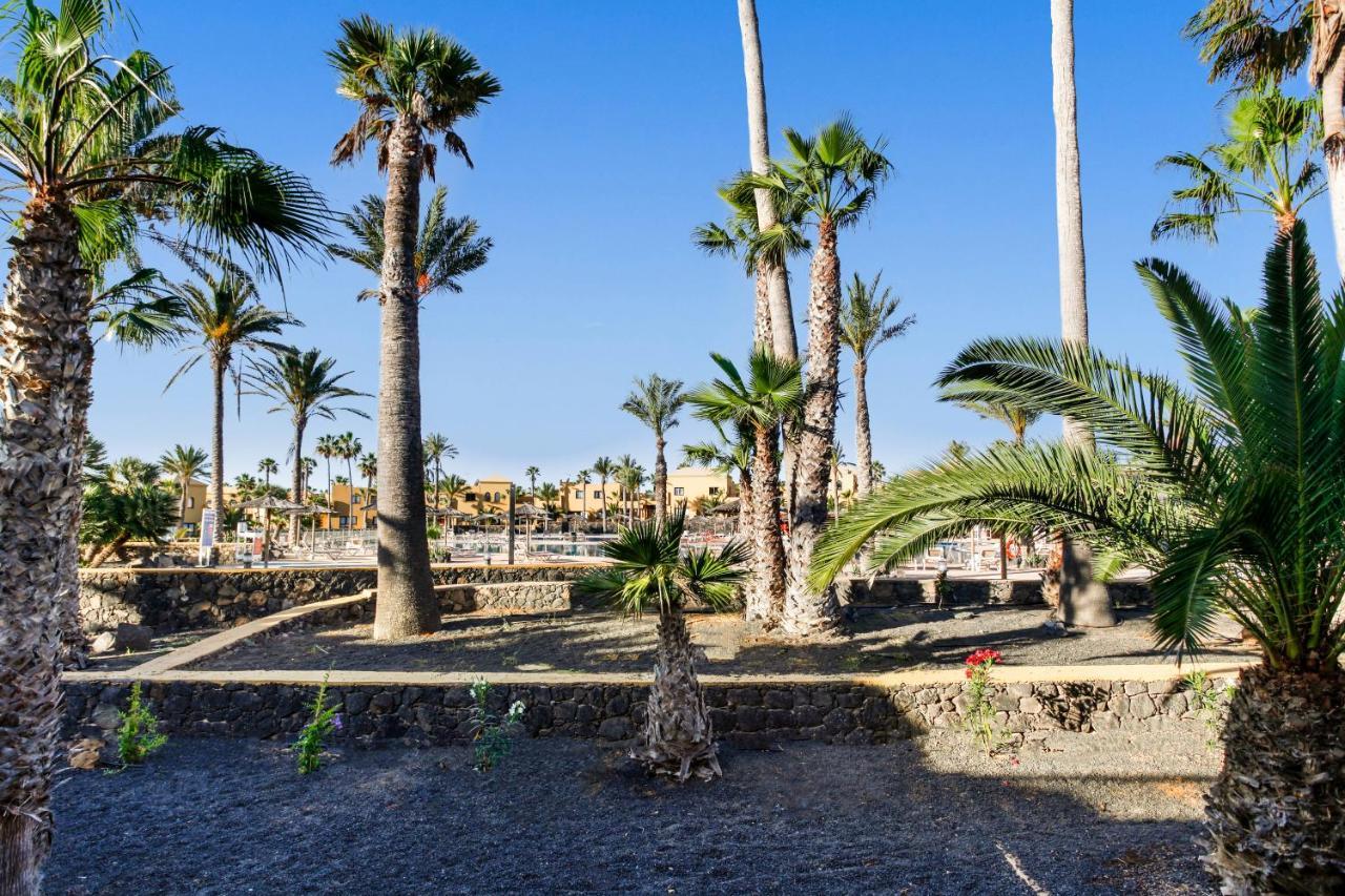 Apartamento Papagayo Διαμέρισμα Κοραλέχο Εξωτερικό φωτογραφία
