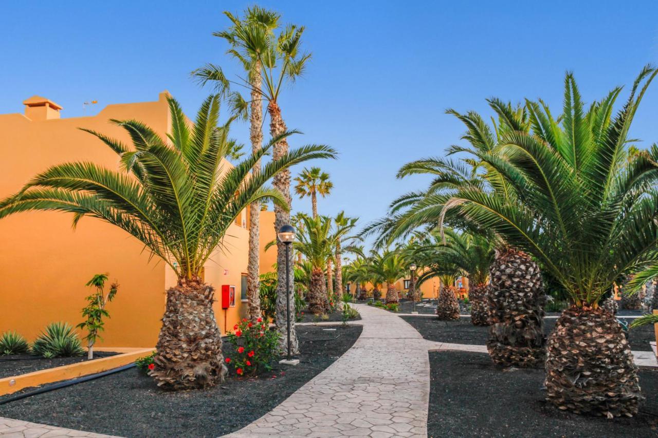 Apartamento Papagayo Διαμέρισμα Κοραλέχο Εξωτερικό φωτογραφία